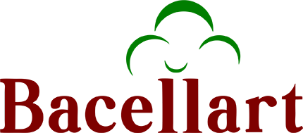 Logo Bacellart Vetor 2