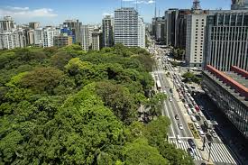 Psicoterapeuta na Av Paulista